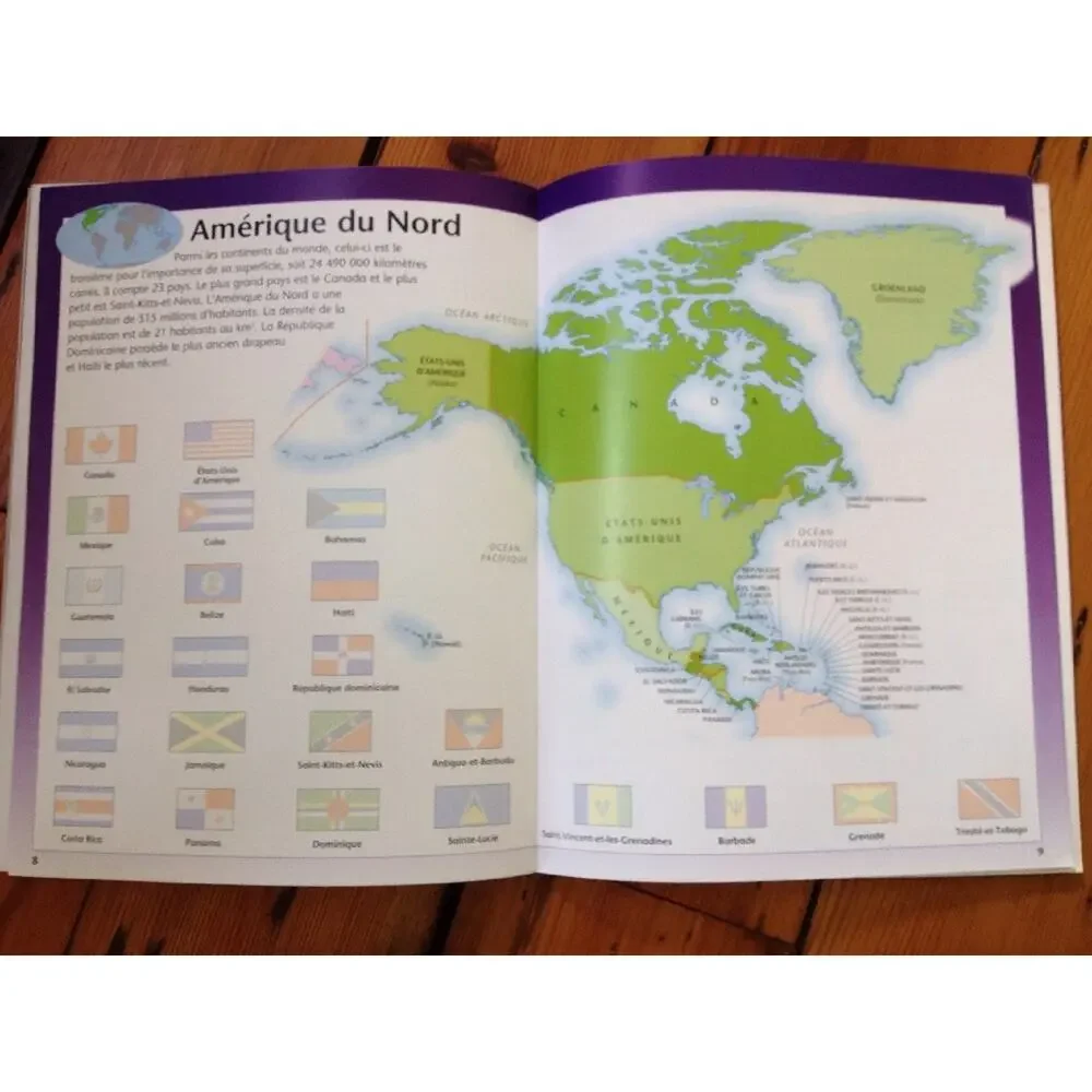 Flags of the World Drapeaux du Monde French Sticker Book Scholastic 2009